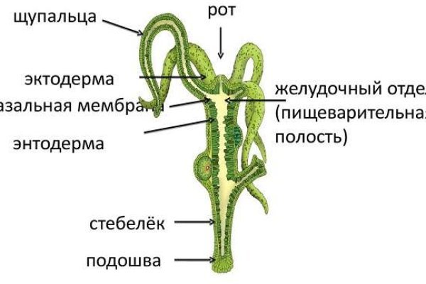 Кракен магазин даркнет