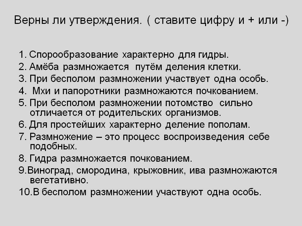 Официальный сайт даркнета