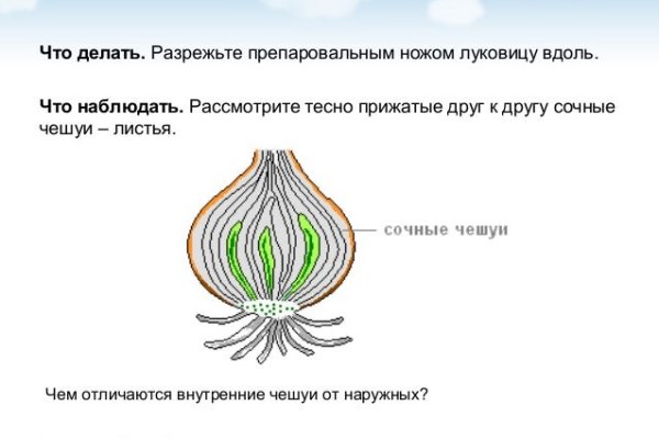 Как зайти на кракен kr2web in