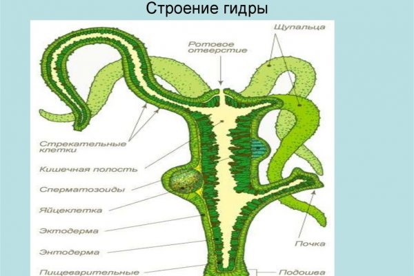 Купить наркотики онлайн