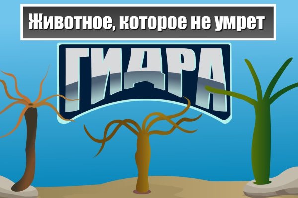 Кракен маркетплейс что